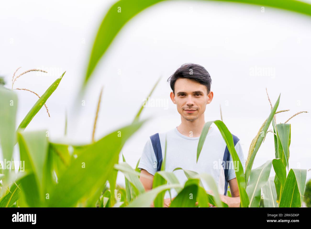 young guy farmer stands in a cornfield Stock Photo