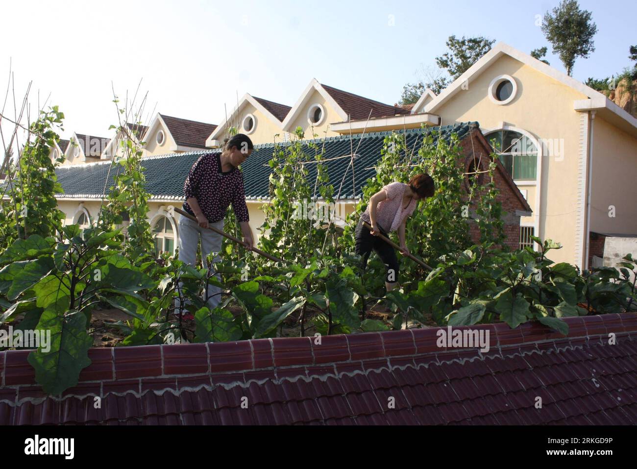 Yuanzi hi-res stock photography and images - Alamy