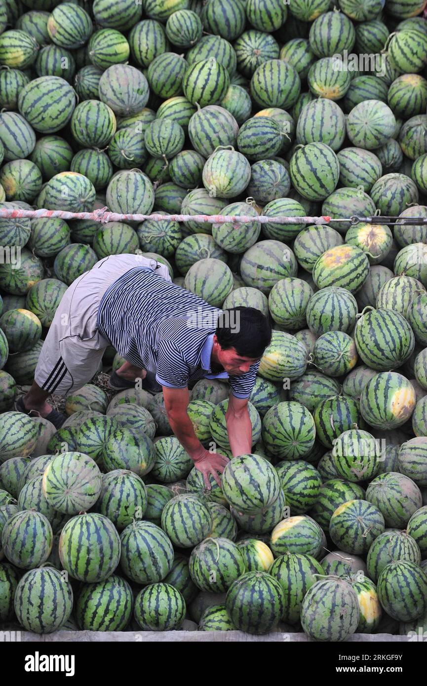 Bildnummer: 55590513  Datum: 13.07.2011  Copyright: imago/Xinhua (110713) -- SHENYANG, July 13, 2011 (Xinhua) -- A man organizes watermelon in a market in Shenyang, capital of northeast China s Liaoning Province, July 13, 2011. According to preliminary statistics, China s Gross domestic product (GDP) reached 20.45 trillion yuan (3.15 trillion U.S. dollars) in the first six months, up 9.6 percent year-on-year, the National Bureau of Statistics (NBS) said Wednesday. (Xinhua/Tian Weitao) (cxy) CHINA-GDP GROWTH-FIRST HALF-2011 (CN) PUBLICATIONxNOTxINxCHN Wirtschaft xjh 2011 hoch  o0 Melonen Wasser Stock Photo