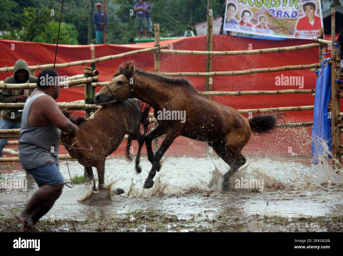 Bildnummer: 55594129  Datum: 14.07.2011  Copyright: imago/Xinhua (110714) -- COTABATO, July 14, 2011 (Xinhua) -- Locals watch a cruel and barbaric of horse fighting as part of Tnalak Festival in Cotabato, Philippines, on July 14, 2011. Stallions are forced to fight to death during the extremely cruel form of entertainment , which still exist in remote towns. (Xinhua/Jeff Maitem)(jy) PHILIPPINES-COTABATO-HORSE FIGHTING PUBLICATIONxNOTxINxCHN Gesellschaft Tier Pferd Kampf Pferdekampf Tierquälerei x0x xtm 2011 quer     Bildnummer 55594129 Date 14 07 2011 Copyright Imago XINHUA  Cotabato July 14 2 Stock Photo
