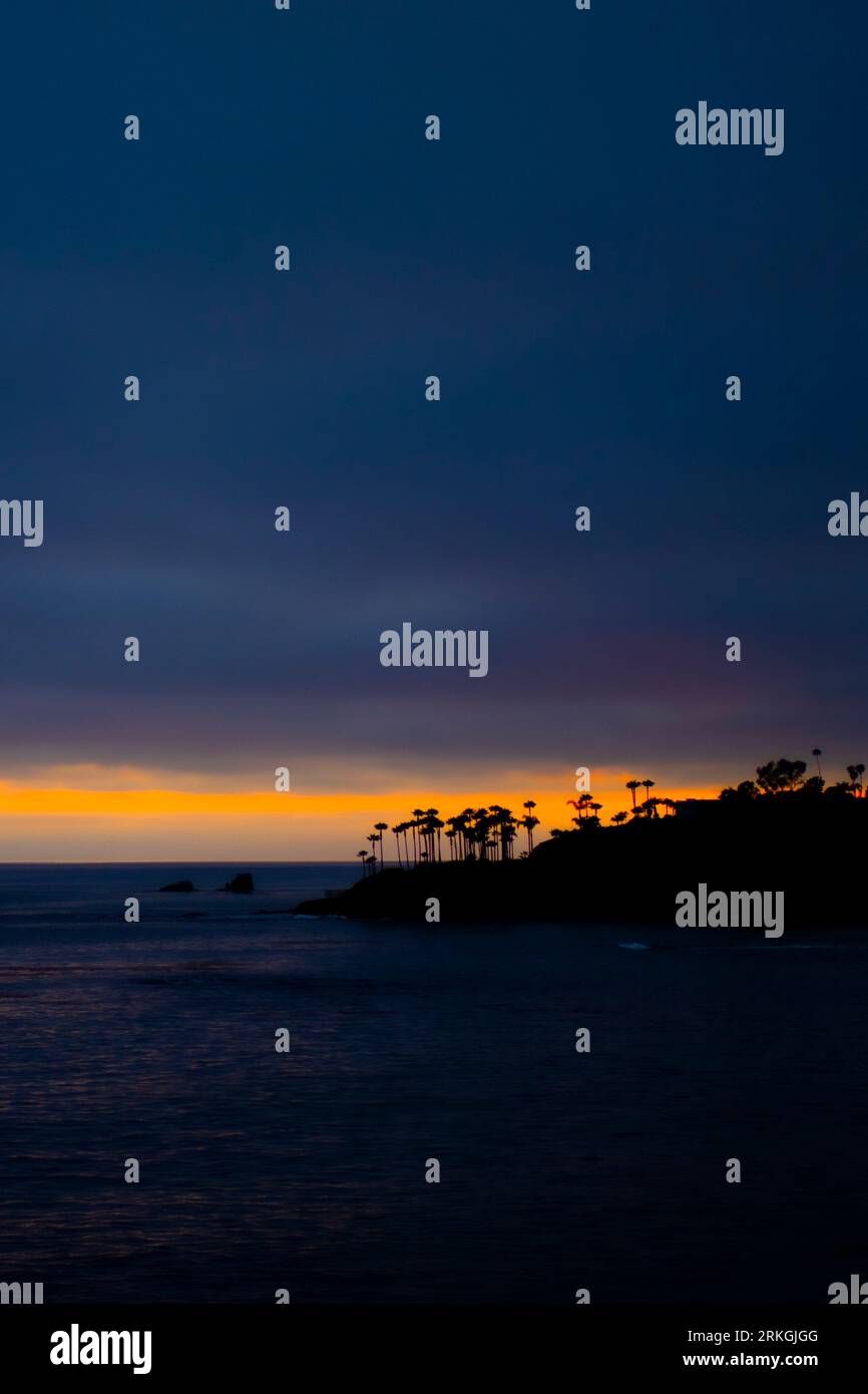 A silhouetted group of palm trees against a vibrant sunset sky of ...