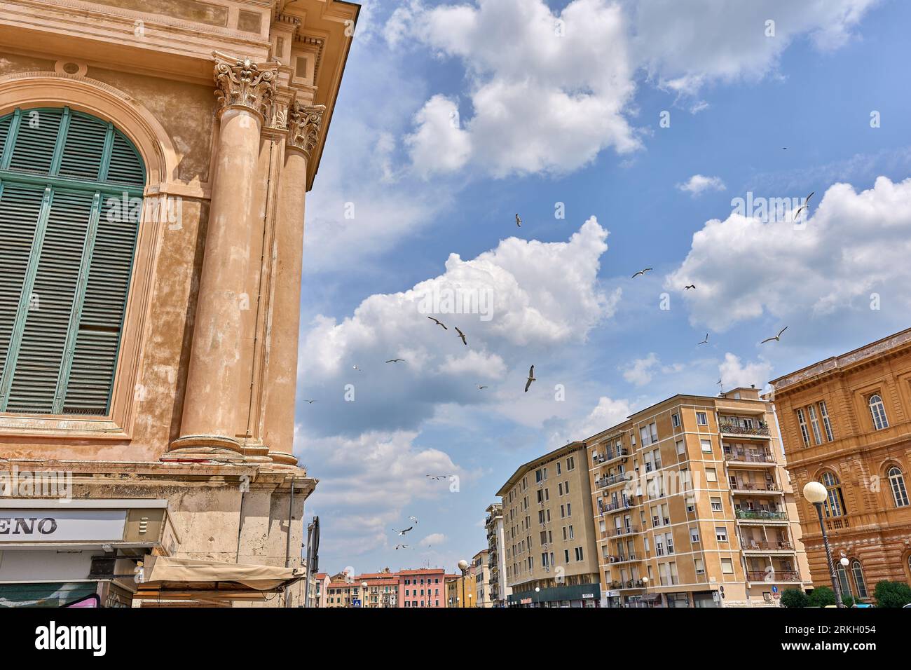 Vibrant array of birds hi-res stock photography and images - Alamy