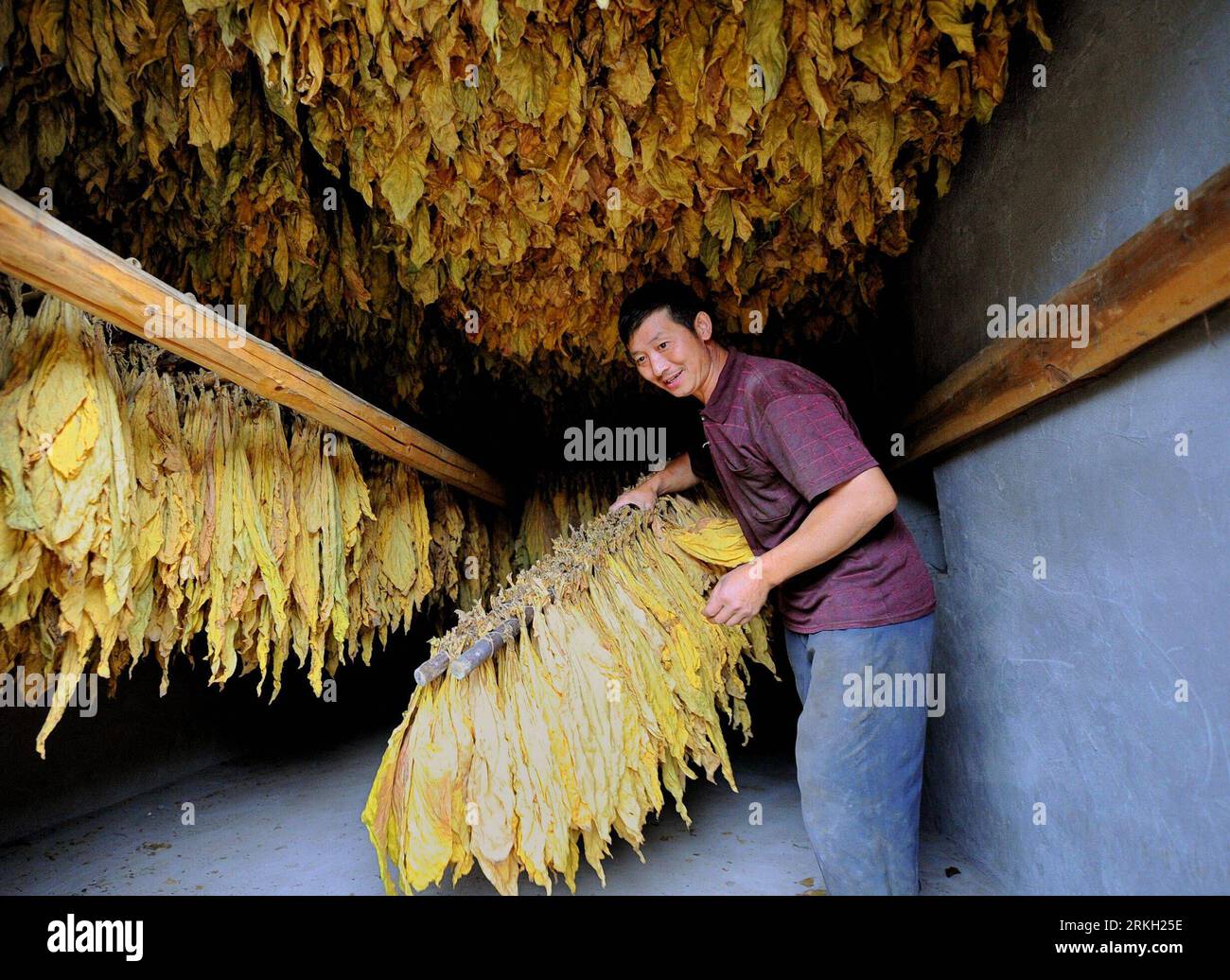 tobacco counselling Institution Resources for Tobacco Cessation