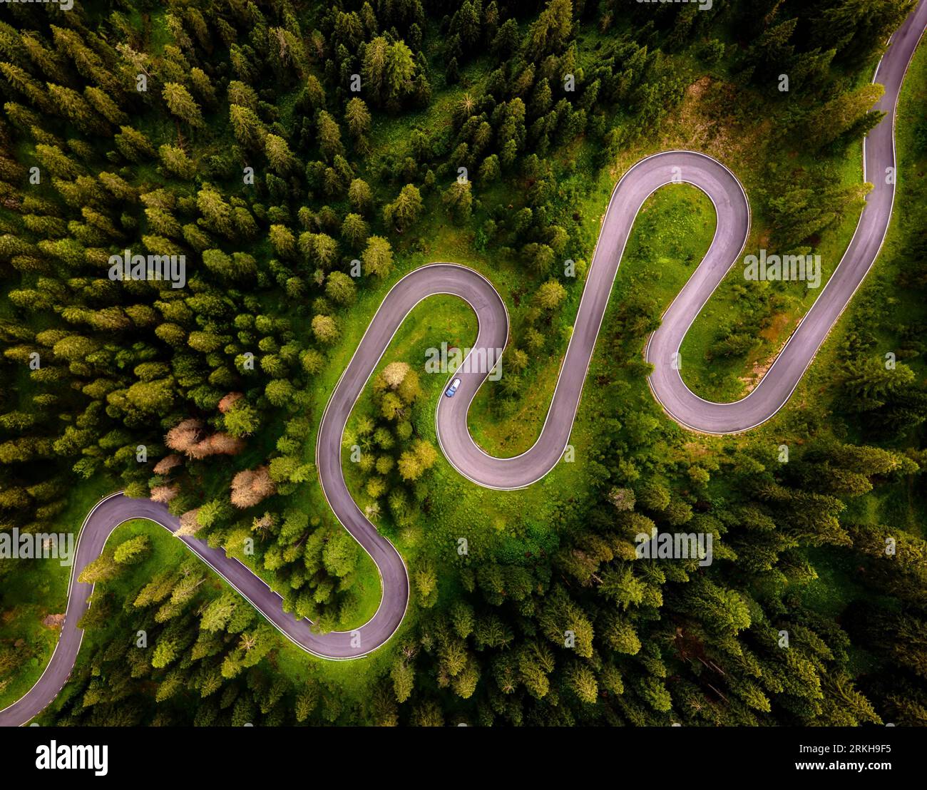Aerial top view winding forest hi-res stock photography and images - Alamy