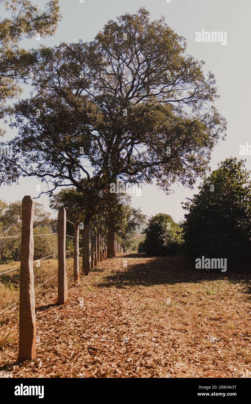 wooden fence in the farm Stock Photo - Alamy