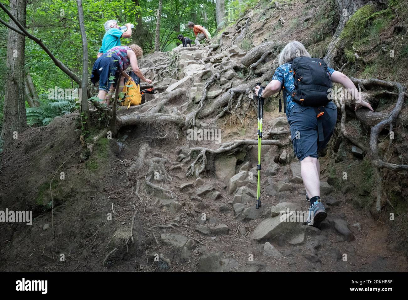 A group of friends climb a steep gradient consisting of rocks and tree roots near Ladybower Reservoir in the Peak District, on 22nd August 2023, in Sheffield, England. Stock Photo
