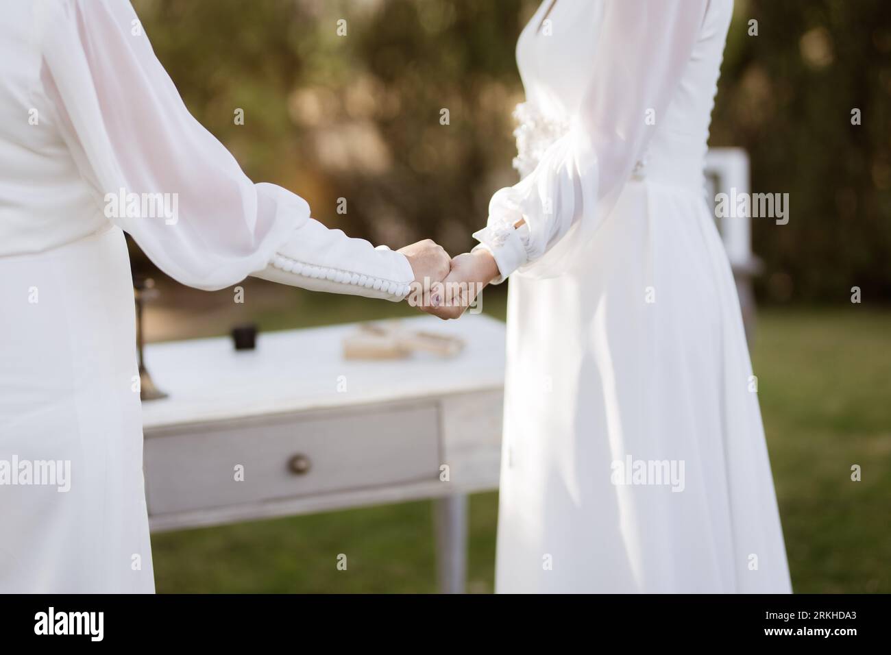 Two women in elegant white wedding dresses holding hands in an outdoor ...