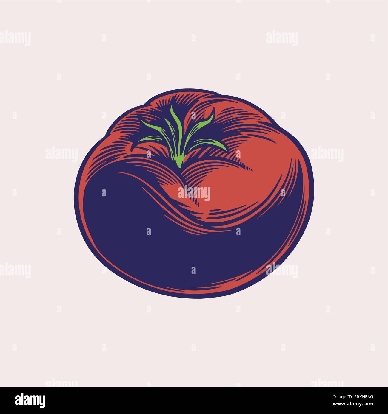 Tomatoes sketch engraved style illustration. Farm market product. Retro sketches isolated. Vector decorative vegetables in old ink style. Hand drawn d Stock Vector