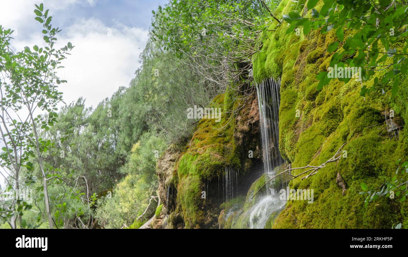 Spring of water in the karstic rock, a small waterfall in a green environment, Cuervo River source, Cuenca, Spain. Stock Photo