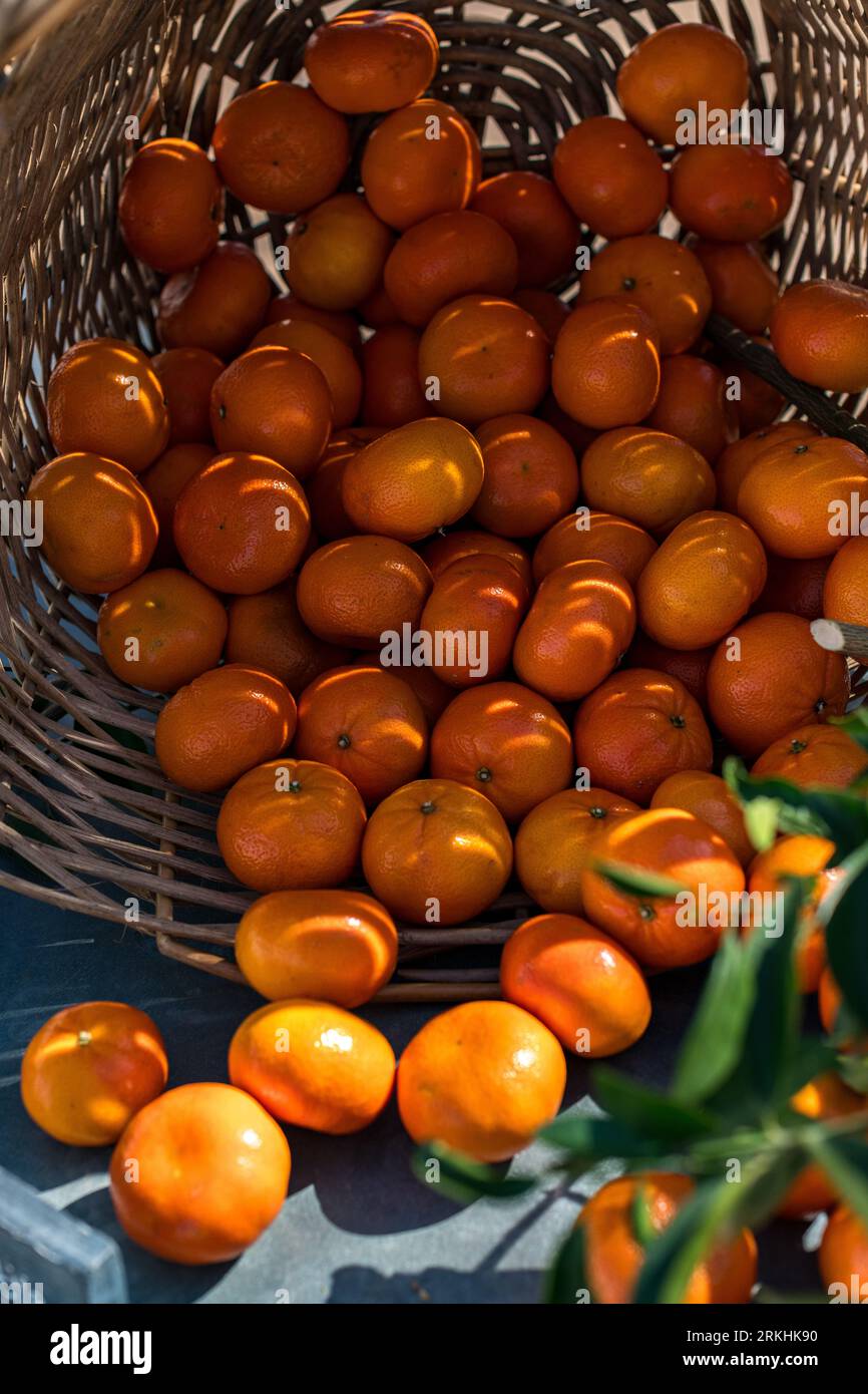 Seasonal naartjies a soft citrus fruit grown in South Africa Stock