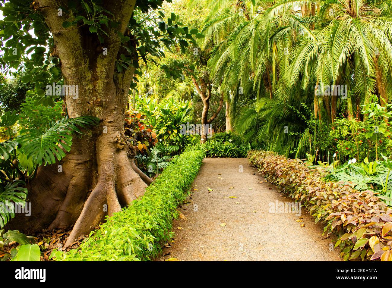 Jardín, Terraza, jardín figuras, flores, estanques, Alemania,  aerogeneradores, primrose, brezos, bocina, violeta, figuras, decoración,  decoración de jardines, Pflanzgefäße, estanque de jardín, el muelle, el  exterior Fotografía de stock - Alamy