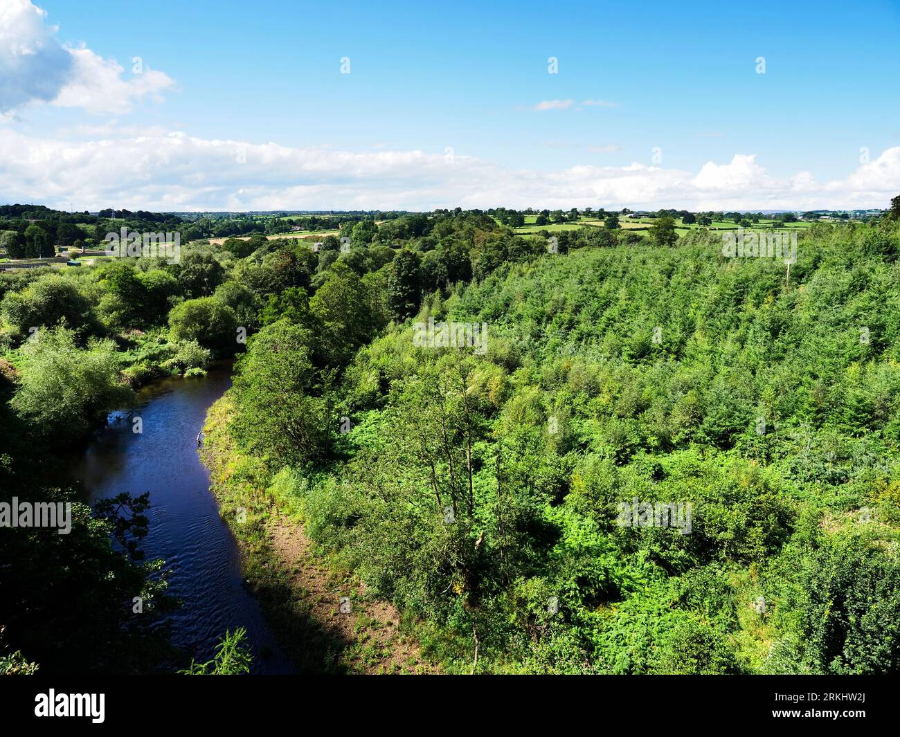 River Nidd from the Nidd Gorge Viaduct on the Nidderdale Greenway part of National Cycle Route 67 North Yorkshire England Stock Photo