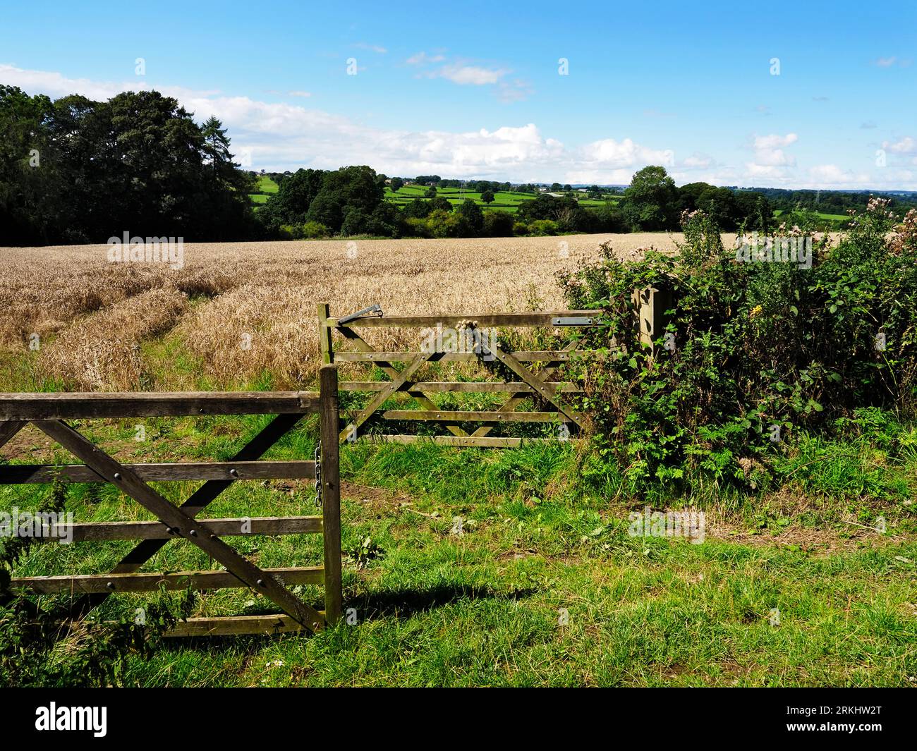 View through a double gate over a ripening crop from the Nidderdale Greenway part of National Cycle Route 67 North Yorkshire England Stock Photo