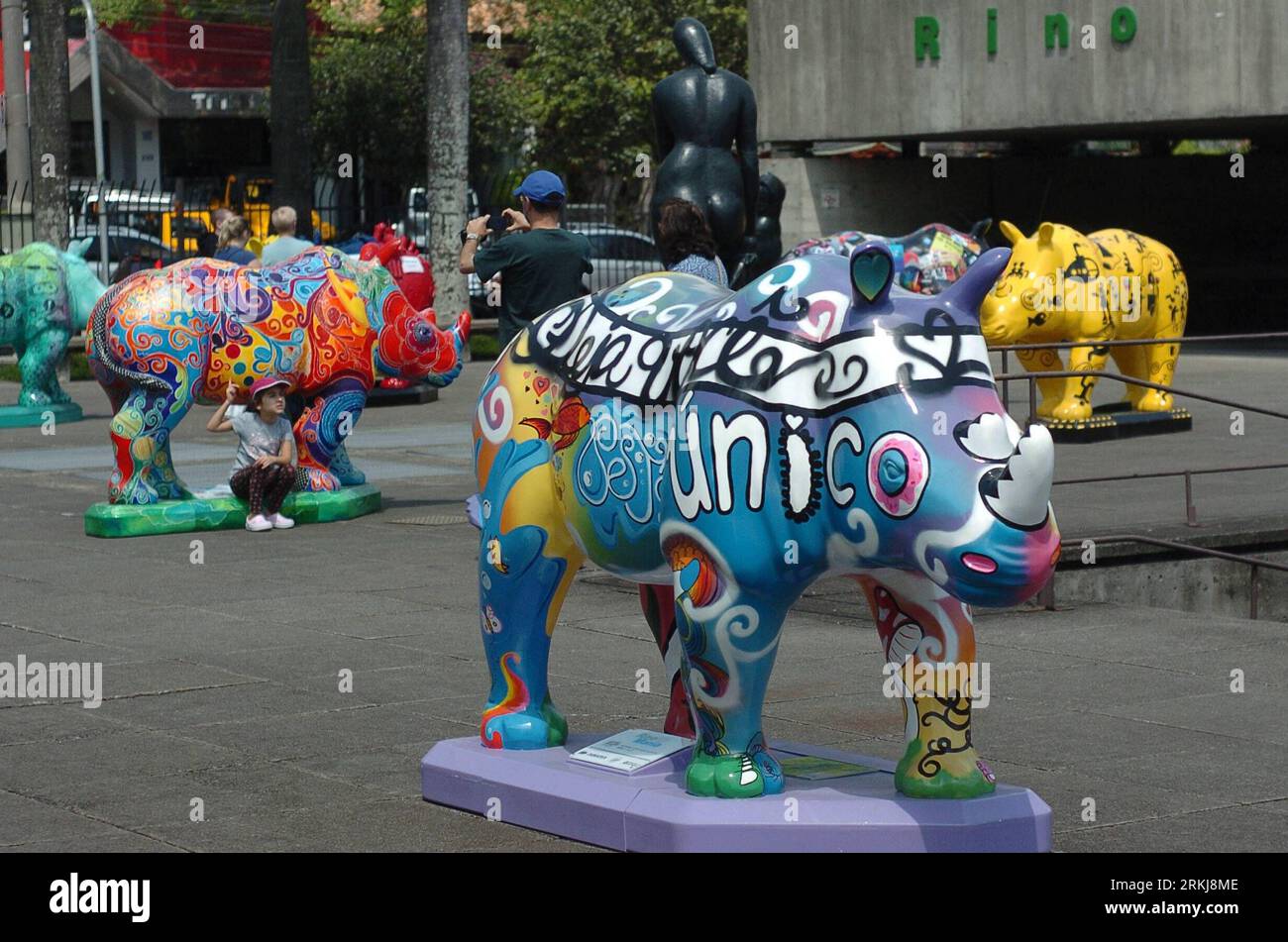 Painted rhinoceros hi-res stock photography and images - Alamy