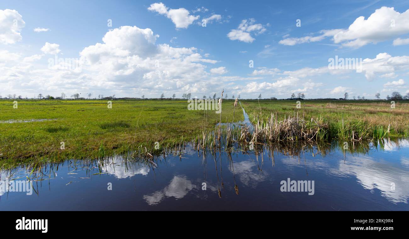 An aerial view of a lush green landscape dotted with trees Stock Photo ...