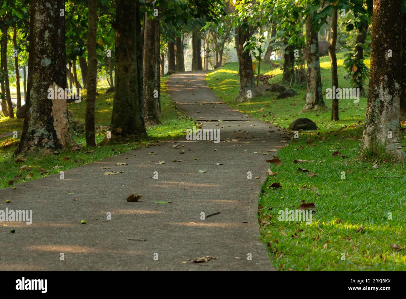 View of a road, also a jogging track in the morning, after some edits. Stock Photo