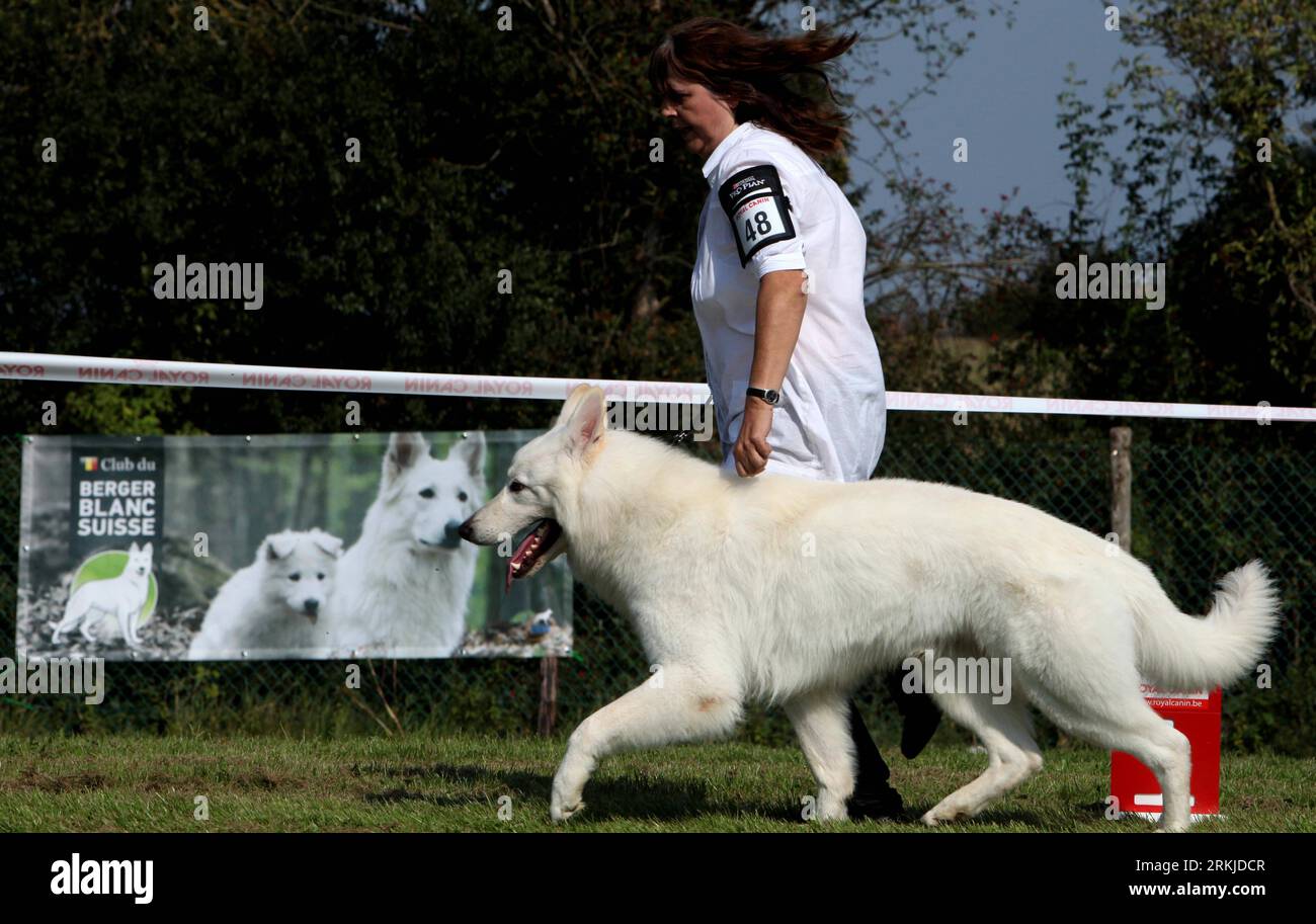 Bildnummer: 56113147  Datum: 25.09.2011  Copyright: imago/Xinhua (110926) -- BRUSSELS, Sept. 26, 2011 (Xinhua) -- A woman leads her pet dog to particitate in the 6th international Switzerland s White Huntaway competition held in Chastre, Belgium, Sept. 25, 2011. (Xinhua/Wang Xiaojun) BELGIUM-BRUSSELS-SWITZERLAND S WHITE HUNTAWAY-COMPETITION PUBLICATIONxNOTxINxCHN Gesellschaft Tiere Hund Neuseeländischer New Zealand Wettbewerb xns x0x 2011 quer      56113147 Date 25 09 2011 Copyright Imago XINHUA  Brussels Sept 26 2011 XINHUA a Woman leads her Pet Dog to  in The 6th International Switzerland S Stock Photo