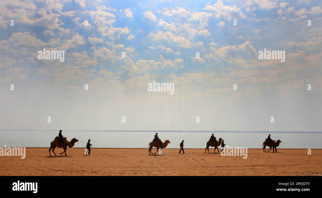 Bildnummer: 56121371  Datum: 27.09.2011  Copyright: imago/Xinhua (110927) -- YULIN, Sept. 27, 2011 (Xinhua) -- Tourists ride camels near China s largest desert lake Hongjiannao in Yulin, north China s Shaanx Province, Sept. 24, 2011. Hongjiannao is shrinking as a result of climate change and human activities, and may vanish in a few decades. Its lake area, which measured more than 6,700 hectares in 1996, has shrunk to 4,180 hectares. Its water level is declining by 20-30 centimeters annually and its water PH value has risen to 9.0-9.42 from 7.4-7.8. (Xinhua/Liu Yu) (lfj) CHINA-SHAANXI-LARGEST Stock Photo