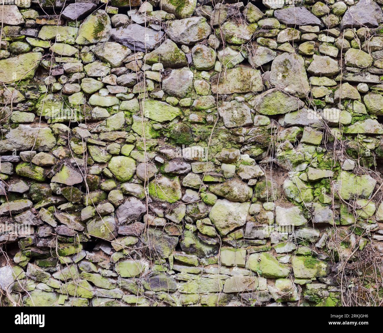 texture of stone wall. grunge background with moss Stock Photo