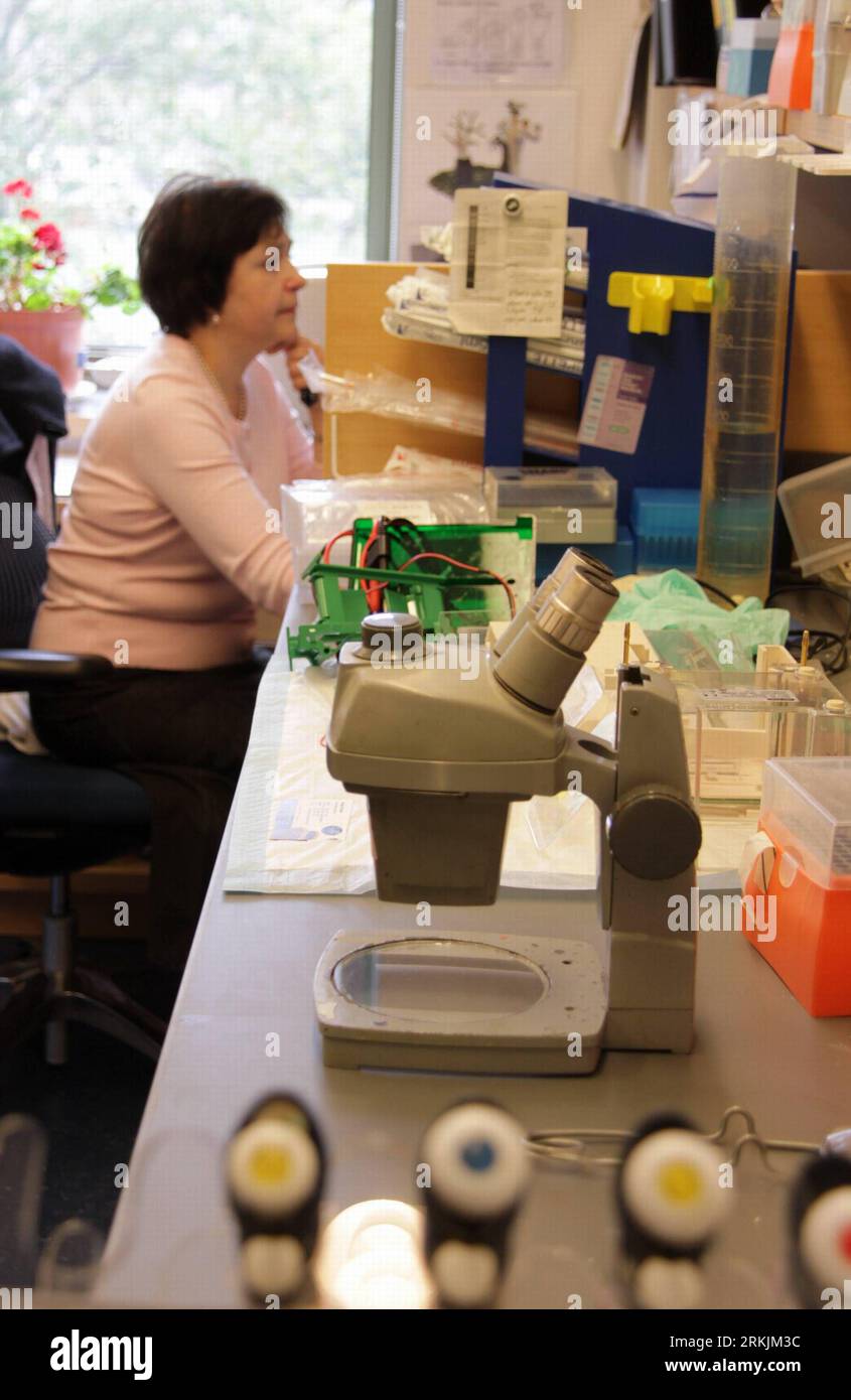 The Rockefeller University Microscope Lab 111003 hi-res stock photography and images - Alamy