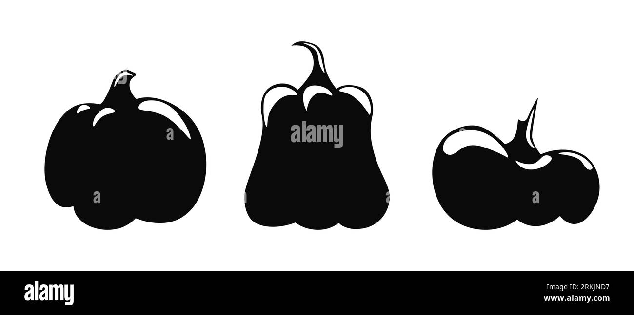 Vector set of orange pumpkins isolated on a white background Stock ...