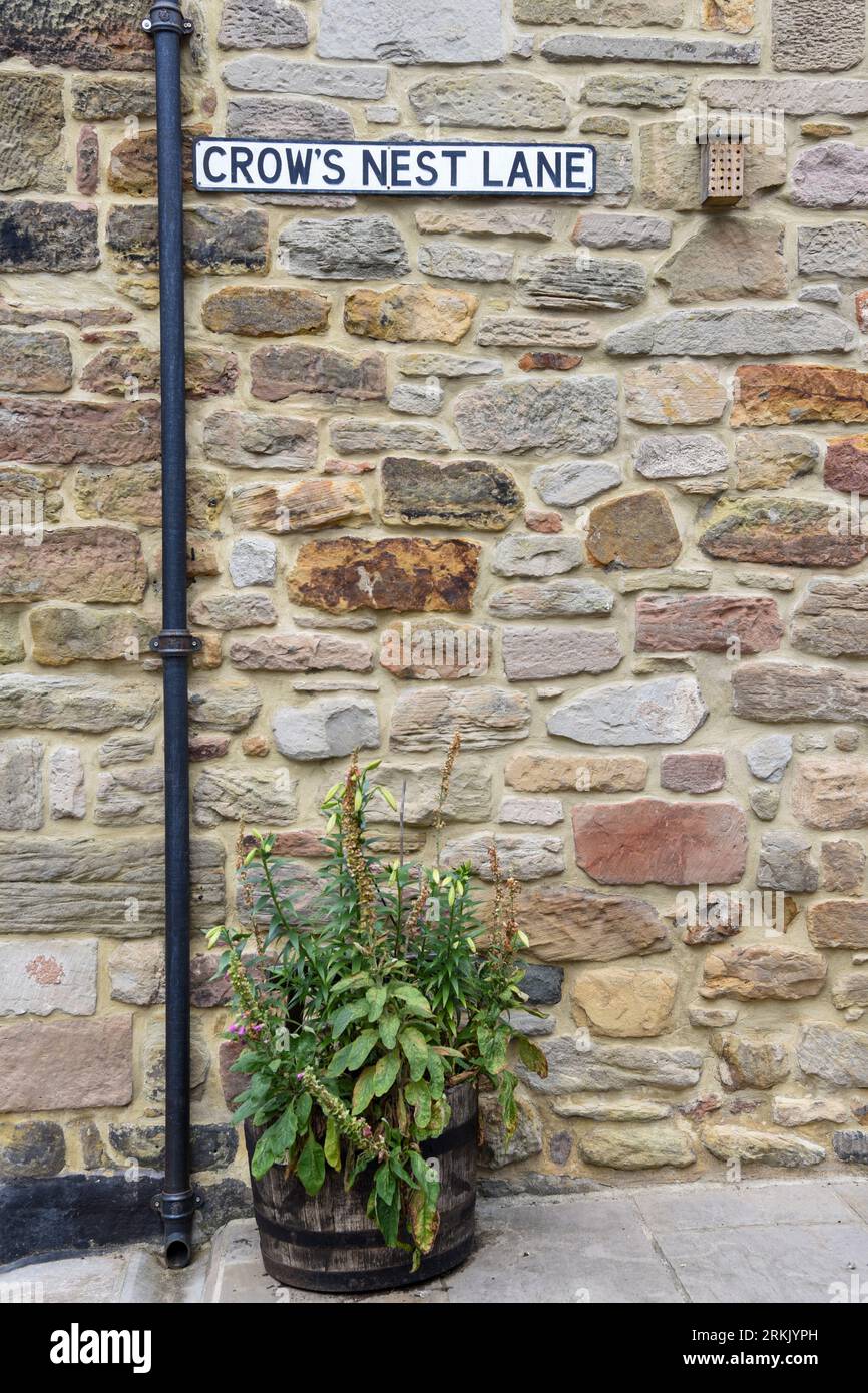 Crows Nest Lane at Cheryl Laroche blog