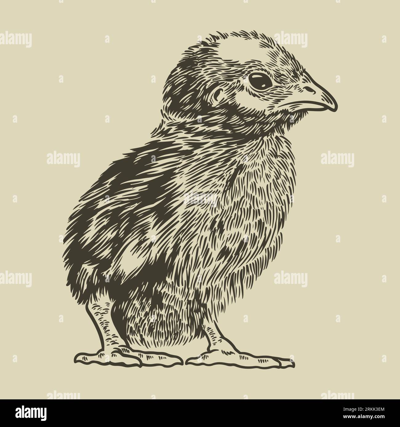 How To Draw Chicka Baby Animal Drawings Draw Cute Baby Pin On Drawing