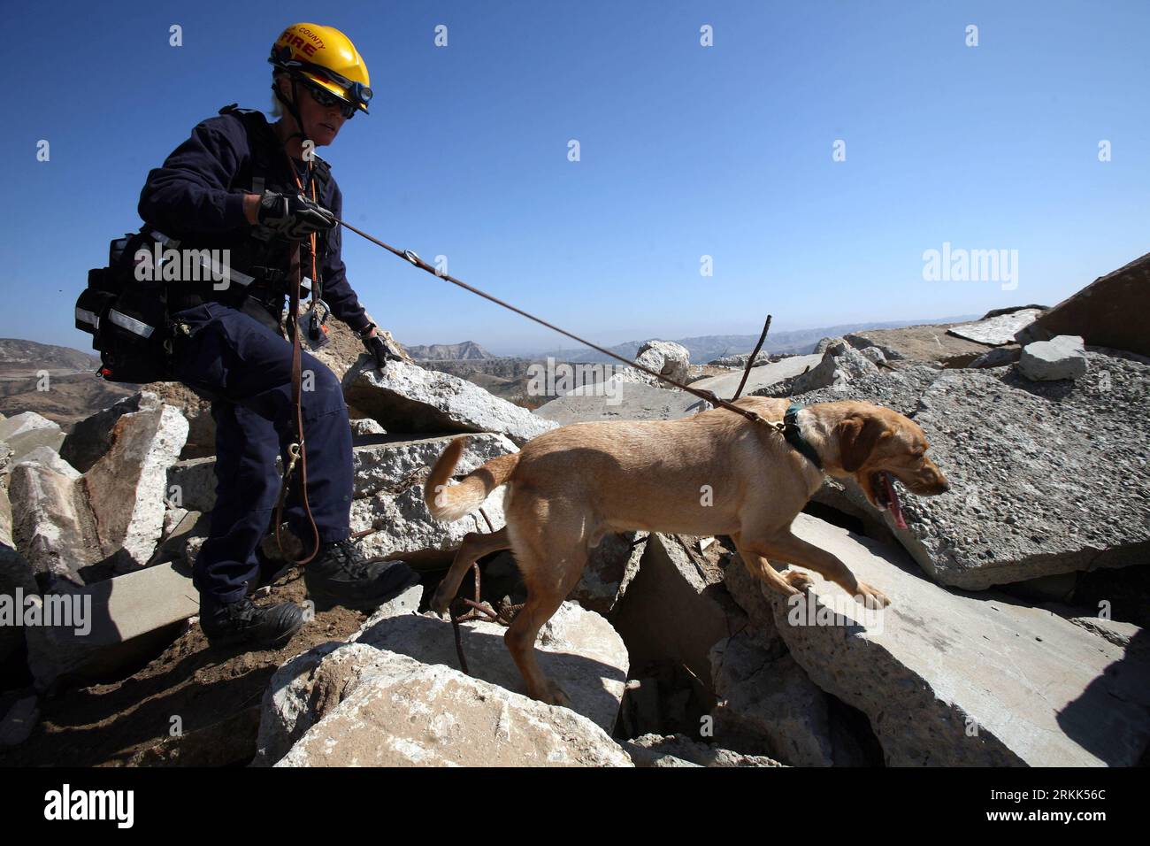 Bildnummer: 56201226  Datum: 20.10.2011  Copyright: imago/Xinhua (111021) -- LOS ANGELES, Oct. 21, 2011 (Xinhua) -- A member of the Los Angeles County Fire Department and her dog search for survivors in the ruins of a collaged structure during a simulation cases of earthquake emergency as part of an earthquake drill in Northridge, California, Oct. 20, 2011. According to the organizers, for the fourth year in a row, 8.2 million statewide registered to take part in the exercise, surpassing last year s record total 7.9 million participants. (Xinhua/Ringo H.W. Chiu) (dtf) US-LOS ANGELES-EARTHQUAKE Stock Photo
