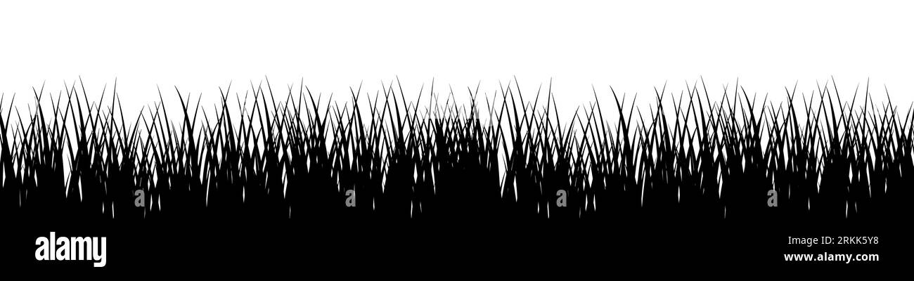 Green grass on white background Stock Vector Image & Art - Alamy