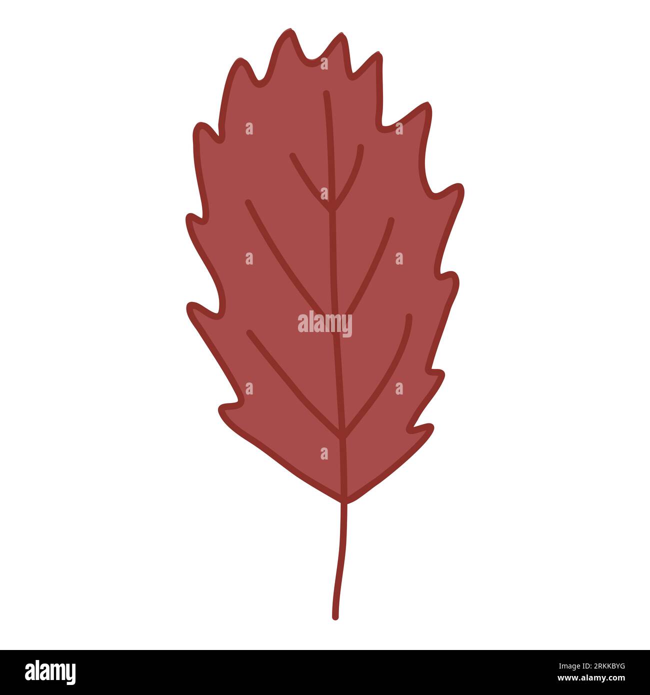 Simple serrated leaf, doodle style flat vector illustration Stock Vector