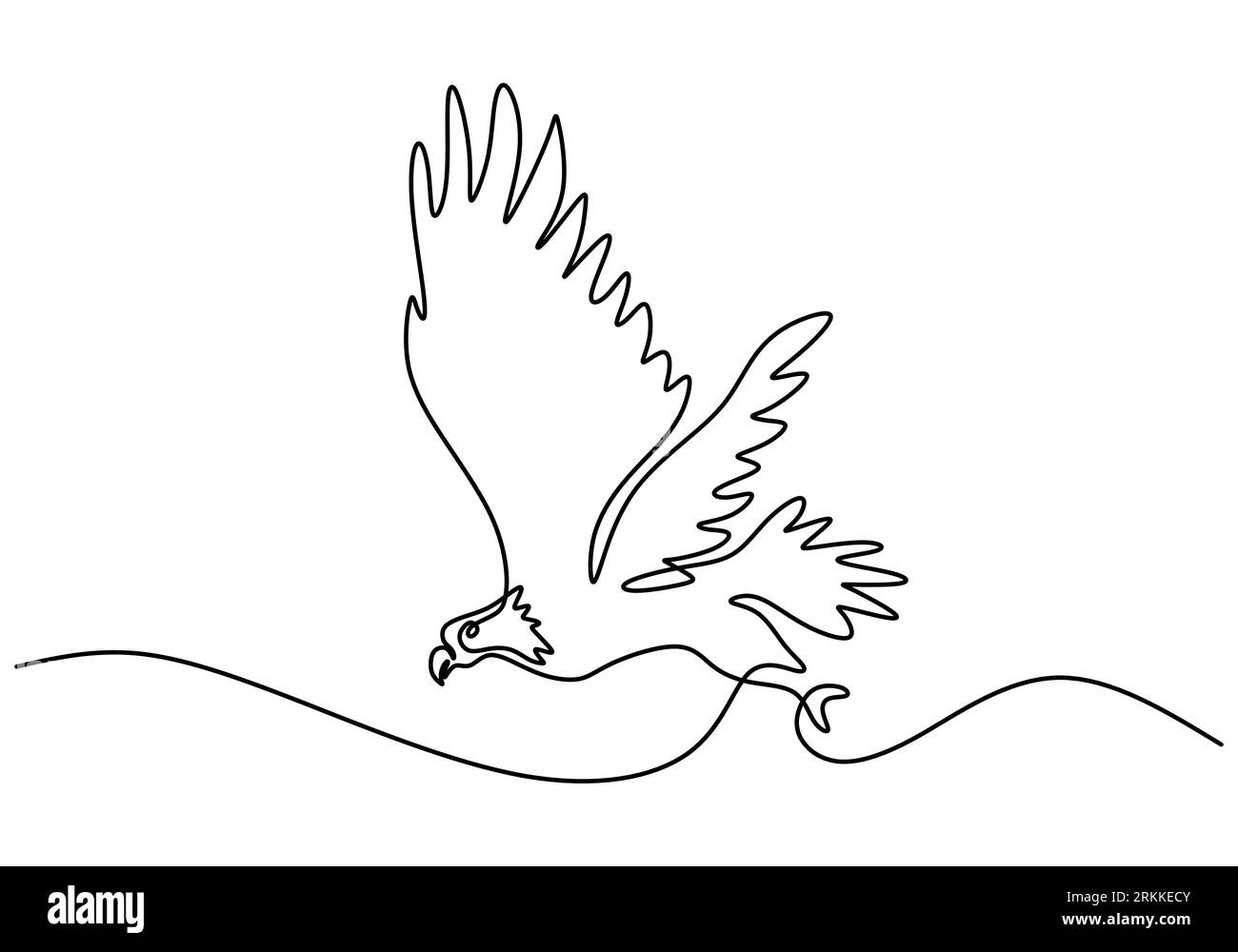 Continuous one line drawing of eagle design silhouette. A hawk bird  isolated on white background. The concept of freedom animal hand drawn  minimalism Stock Vector Image & Art - Alamy