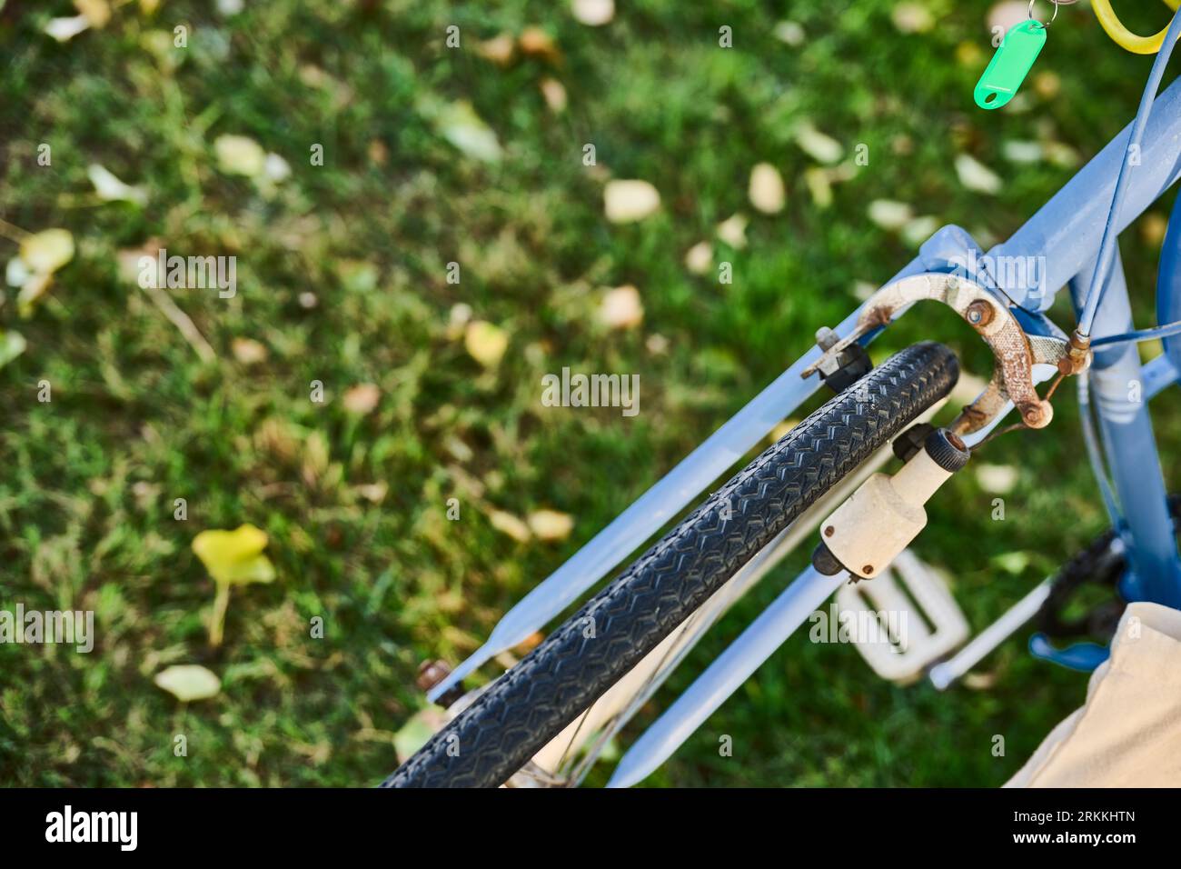 detail of front wheel and brake with dynamo of vintage bicycle on grass background. Stock Photo