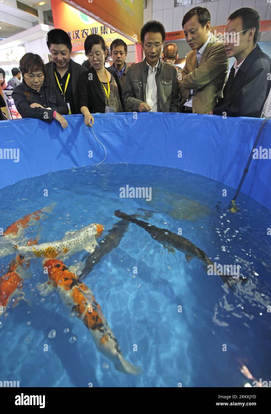 Bildnummer: 56250944  Datum: 05.11.2011  Copyright: imago/Xinhua (111105) -- WUHAN, Nov. 5, 2011 (Xinhua) -- Visitors look at freshwater fish during an agricultural fair in Wuhan, capital of central China s Hubei Province, Nov. 5, 2011. More than 17,000 agricultural produces from 2,300 exhibitors around the world took part in the fair starting on Saturday. (Xinhua) (ry) CHINA-WUHAN-AGRICULTURE-FAIR (CN) PUBLICATIONxNOTxINxCHN Wirtschaft Messe Landwirtschaft Landwirtschaftsmesse xbs x0x 2011 hoch      56250944 Date 05 11 2011 Copyright Imago XINHUA  Wuhan Nov 5 2011 XINHUA Visitors Look AT fres Stock Photo