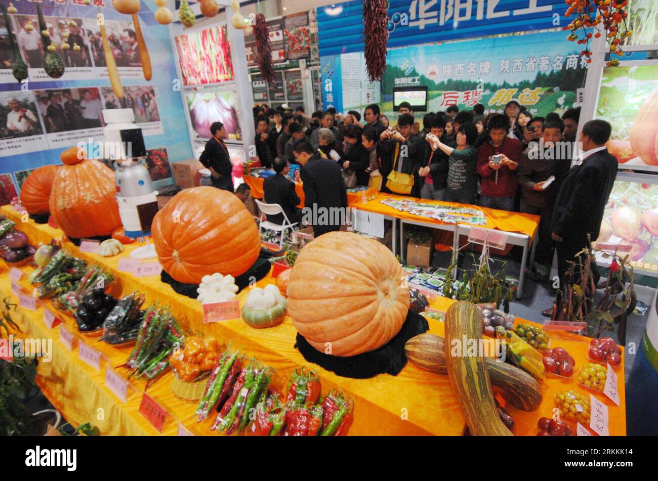 Bildnummer: 56251132  Datum: 05.11.2011  Copyright: imago/Xinhua (111105) -- YAGLING, Nov. 5, 2011 (Xinhua) -- The display of outer space vegetables attracts lots of visitors in Yangling, northwest China s Shaanxi Province, Nov. 5, 2011. The 18th China Yangling Agricultural Hi-Tech Fair was held in Shaanxi on Saturday.(Xinhua/Li Yibo) (zkr) CHINA-YANGLING-AGRICULTURAL-HI-TECH FAIR(CN) PUBLICATIONxNOTxINxCHN Wirtschaft Messe Landwirtschaft Landwirtschaftsmesse xns x0x 2011 quer      56251132 Date 05 11 2011 Copyright Imago XINHUA   Nov 5 2011 XINHUA The Display of Outer Space Vegetables attract Stock Photo