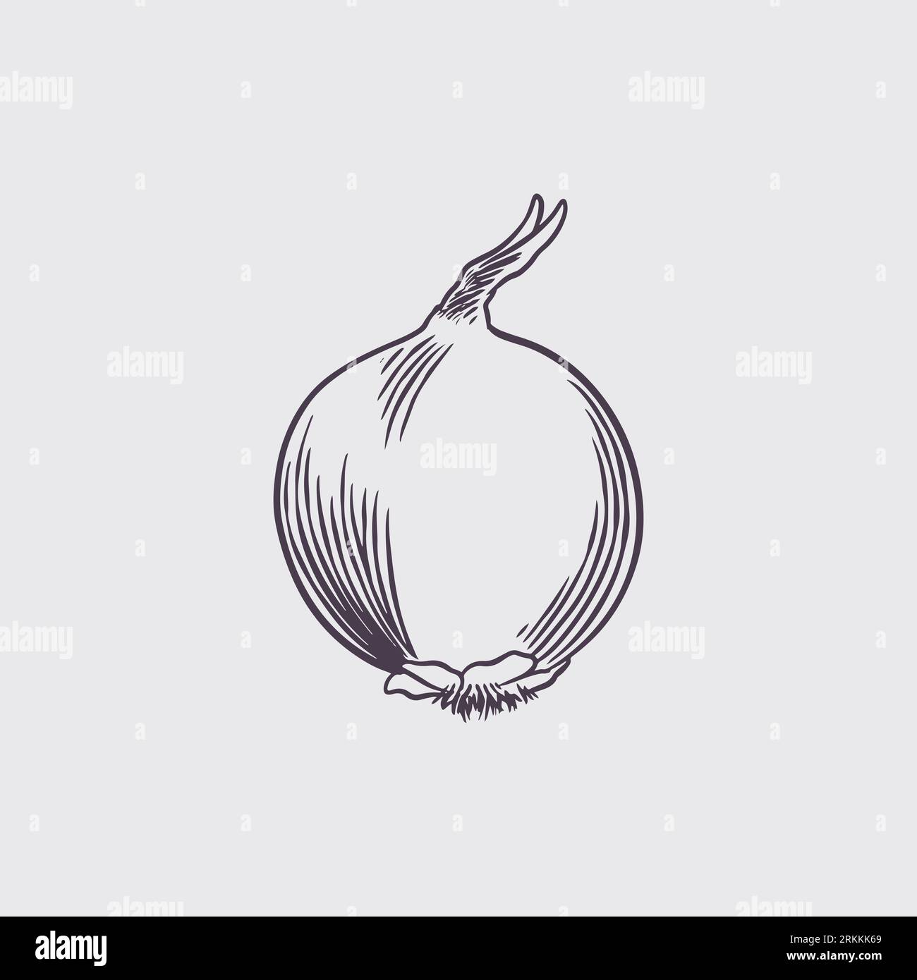 Ink sketch of onion isolated on white background. Stock Vector