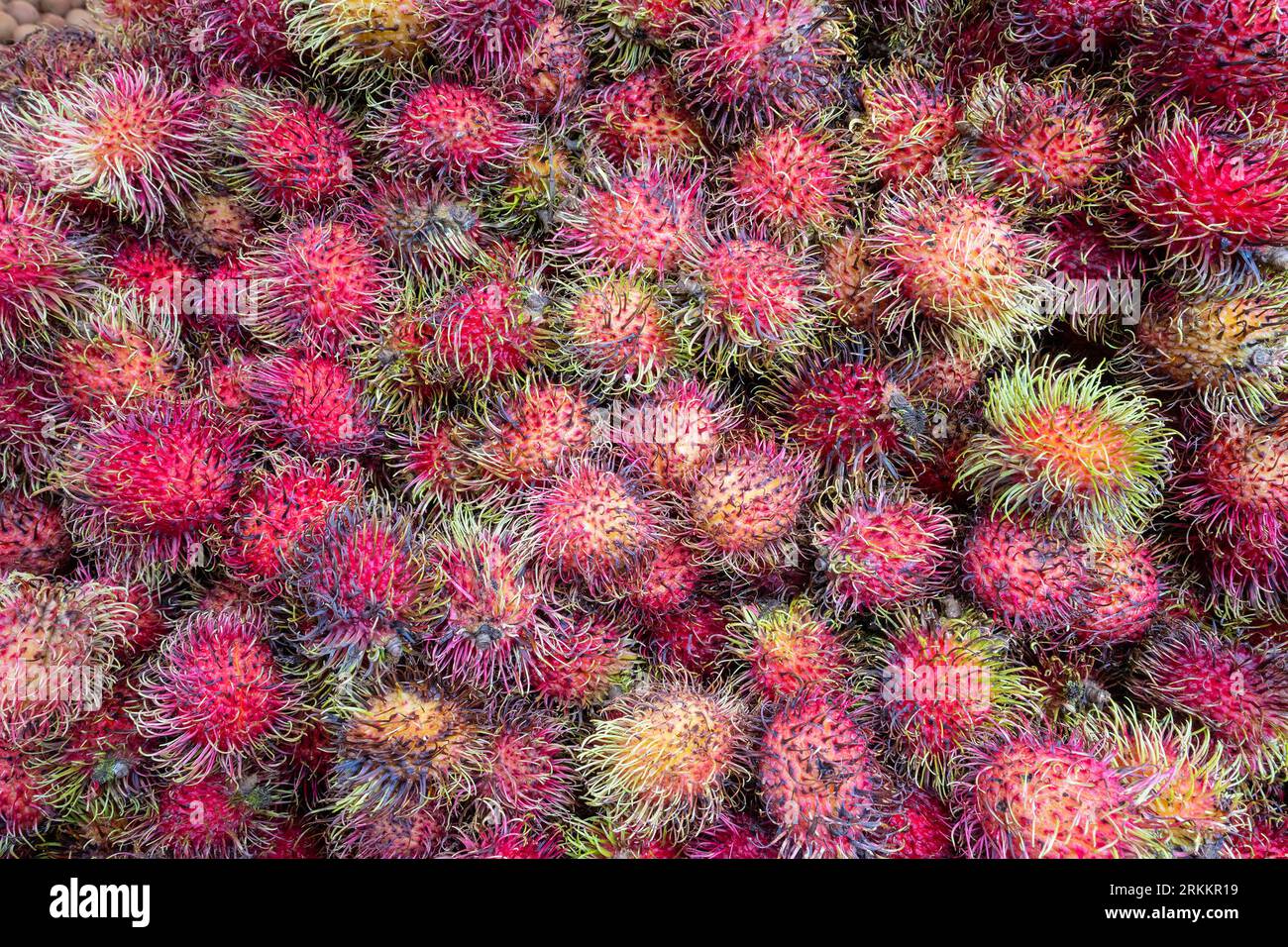 A pile of fresh rambutan tropical fruit, for sale in a marketplace. Stock Photo