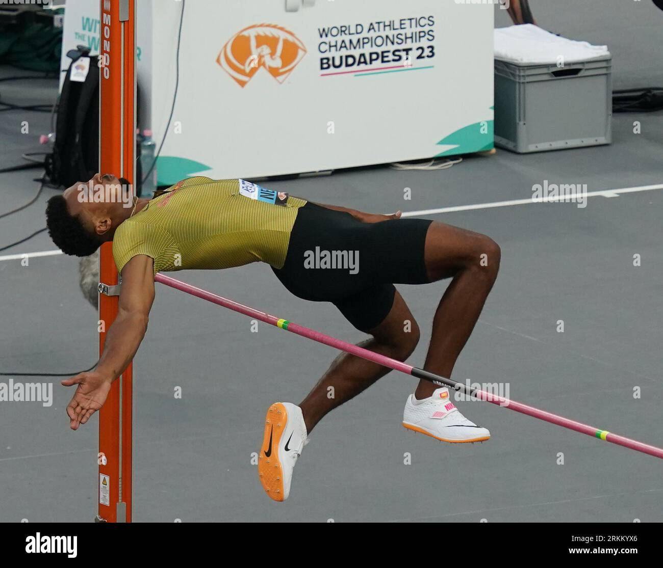 Budapest, Hungary. 25th Aug, 2023. Athletics World Championship