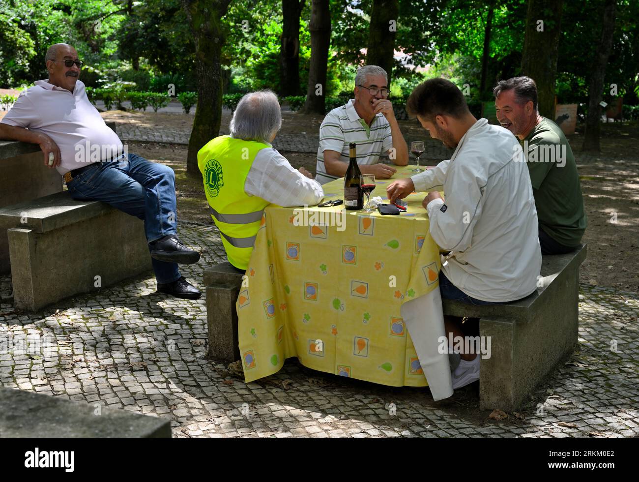 Friends meeting up outside for social chat and game of cards in local park, CentroDial, São João da Madeira, Portugal Stock Photo