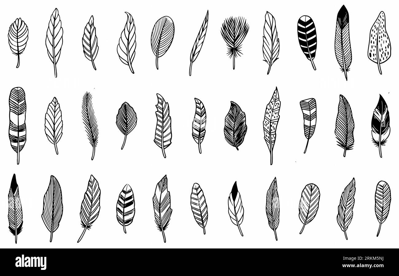 Set of ethnic hand drawn feather isolated on white background Stock ...