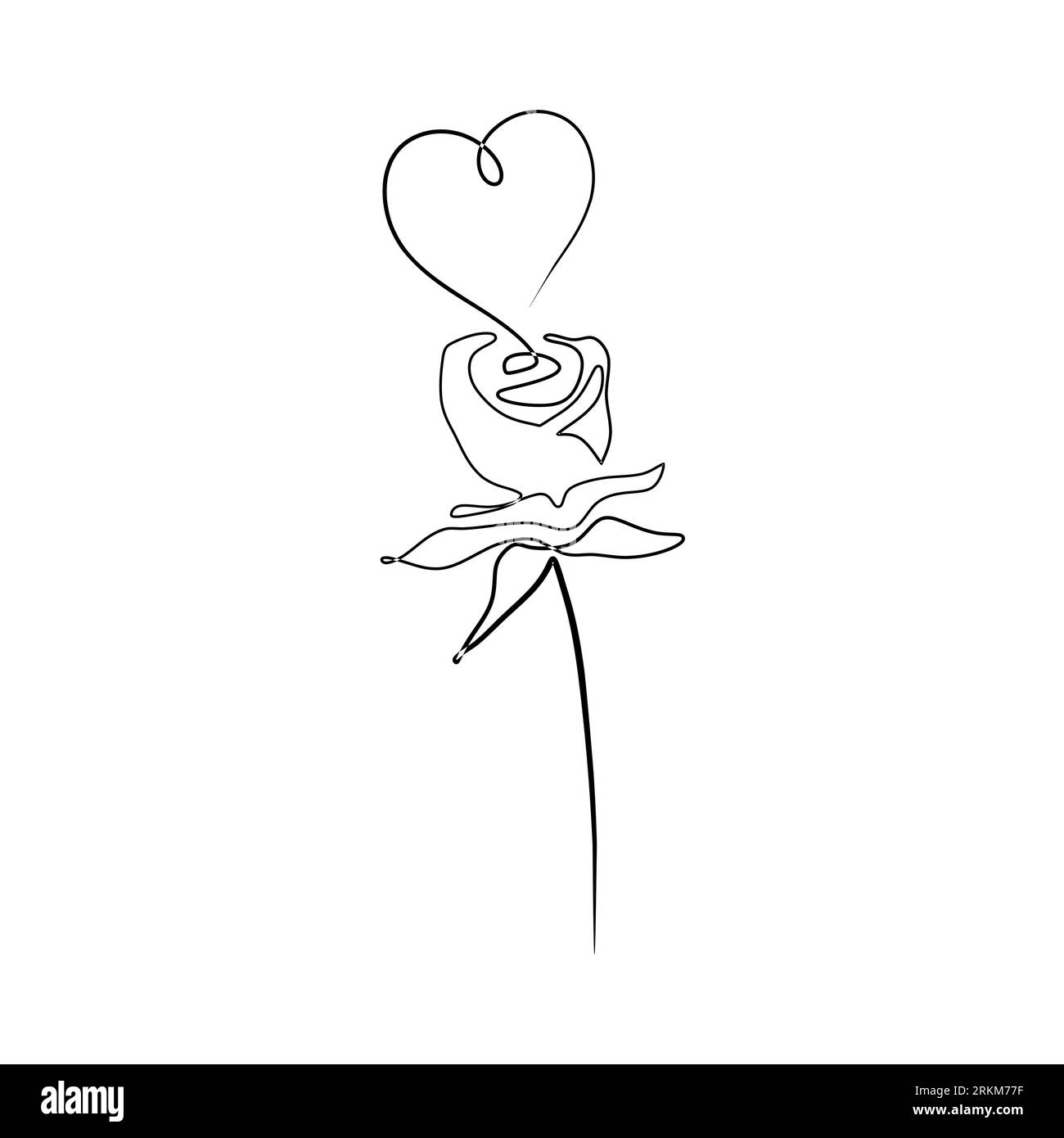 Flower one line drawing minimalist, rose floral contour hand drawn ...