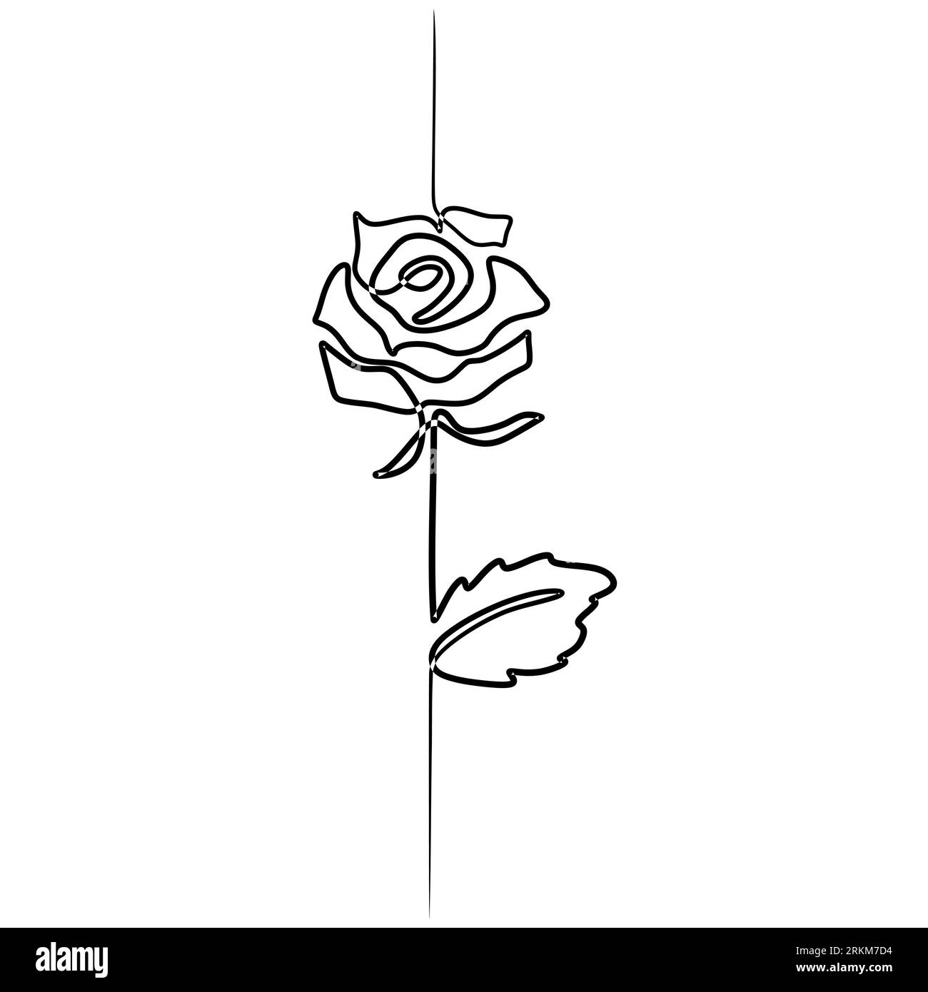 Flower one line drawing minimalist, rose floral contour hand drawn ...