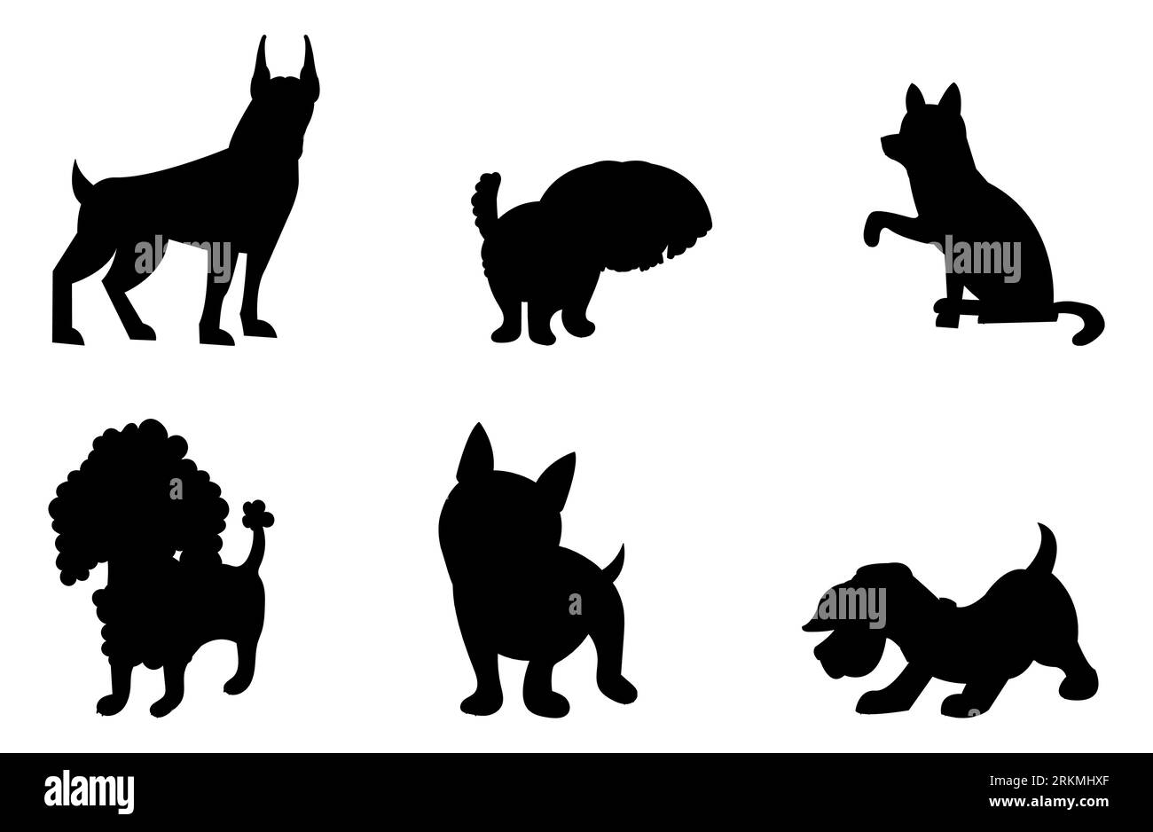 Bichon poodle Stock Vector Images Alamy