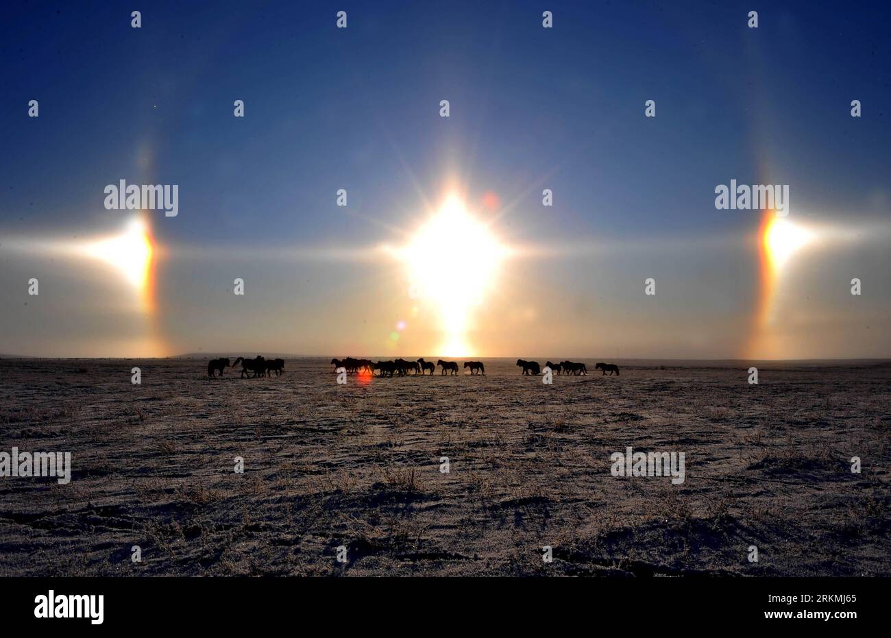 Bildnummer: 56765522  Datum: 20.12.2011  Copyright: imago/Xinhua (111220) -- XILINGOL, Dec. 20, 2011 (Xinhua) -- Photo taken on Dec. 20, 2011 shows parhelion, or sun dog, over a pasture in the Xilingol League, north China s Inner Mongolia Autonomous Region. Parhelion is often formed due to sunlight deflection from icy crystals in the air. (Xinhua/Ren Junchuan) (lmm) CHINA-INNER MONGOLIA-PARHELION (CN) PUBLICATIONxNOTxINxCHN Reise Natur Nebensonnen Parhelia Sonne Gegenlicht Highlight xda x0x Naturphänomen 2011 quer Highlight premiumd kurios Komik      56765522 Date 20 12 2011 Copyright Imago XI Stock Photo