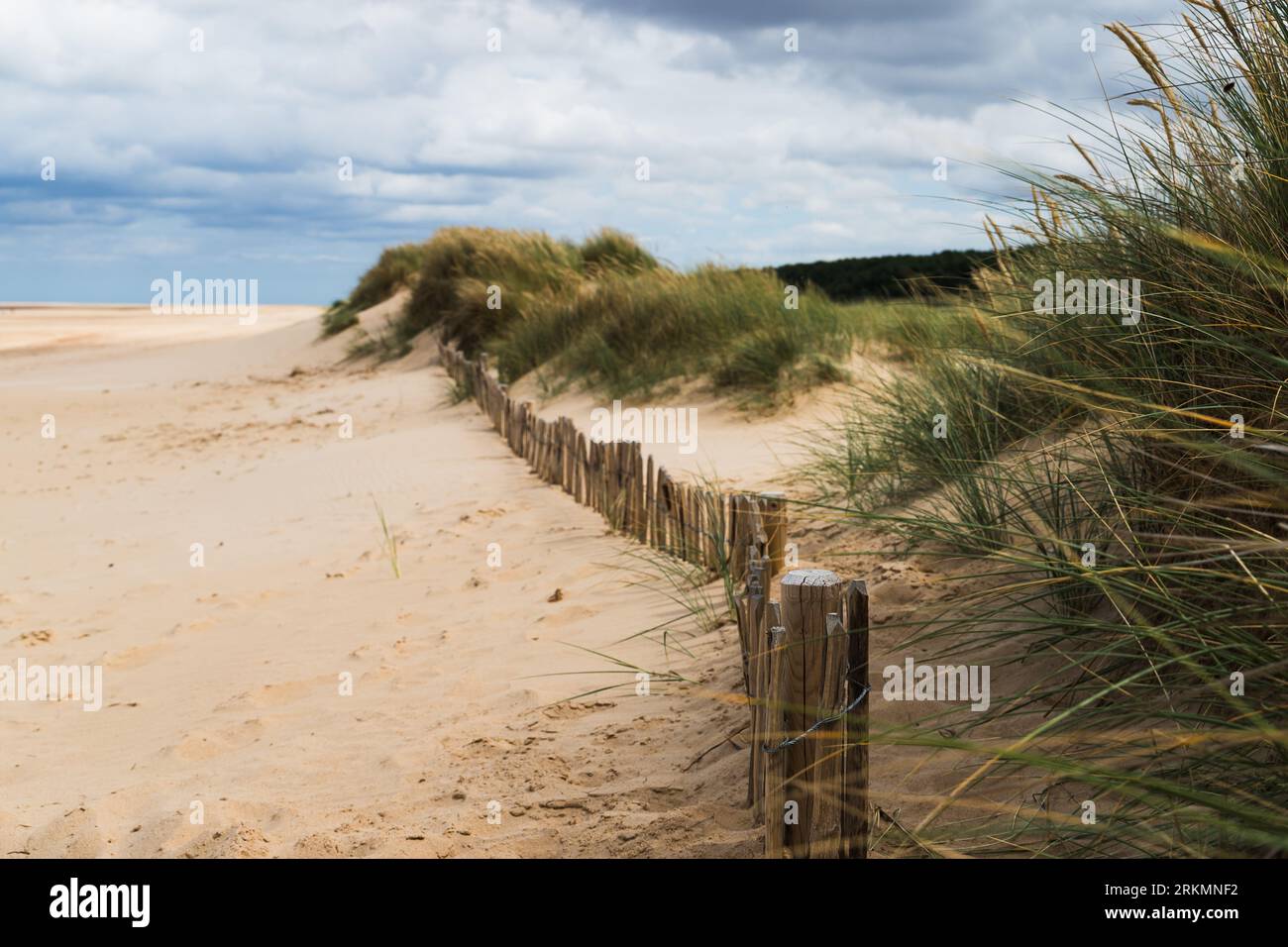 Sand has covered this fence over the years between Holkham and Wells-Next-Sea, taken 14th Aug 2023. Stock Photo