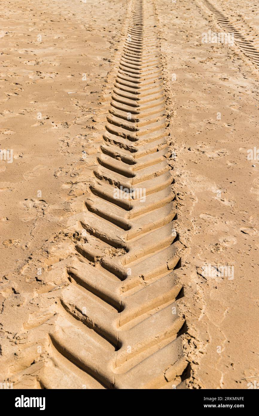 Tractor tracks seen in the fine sand on the beach between Holkham and Wells-Next-Sea in Norfolk, taken 14th Aug 2023. Stock Photo