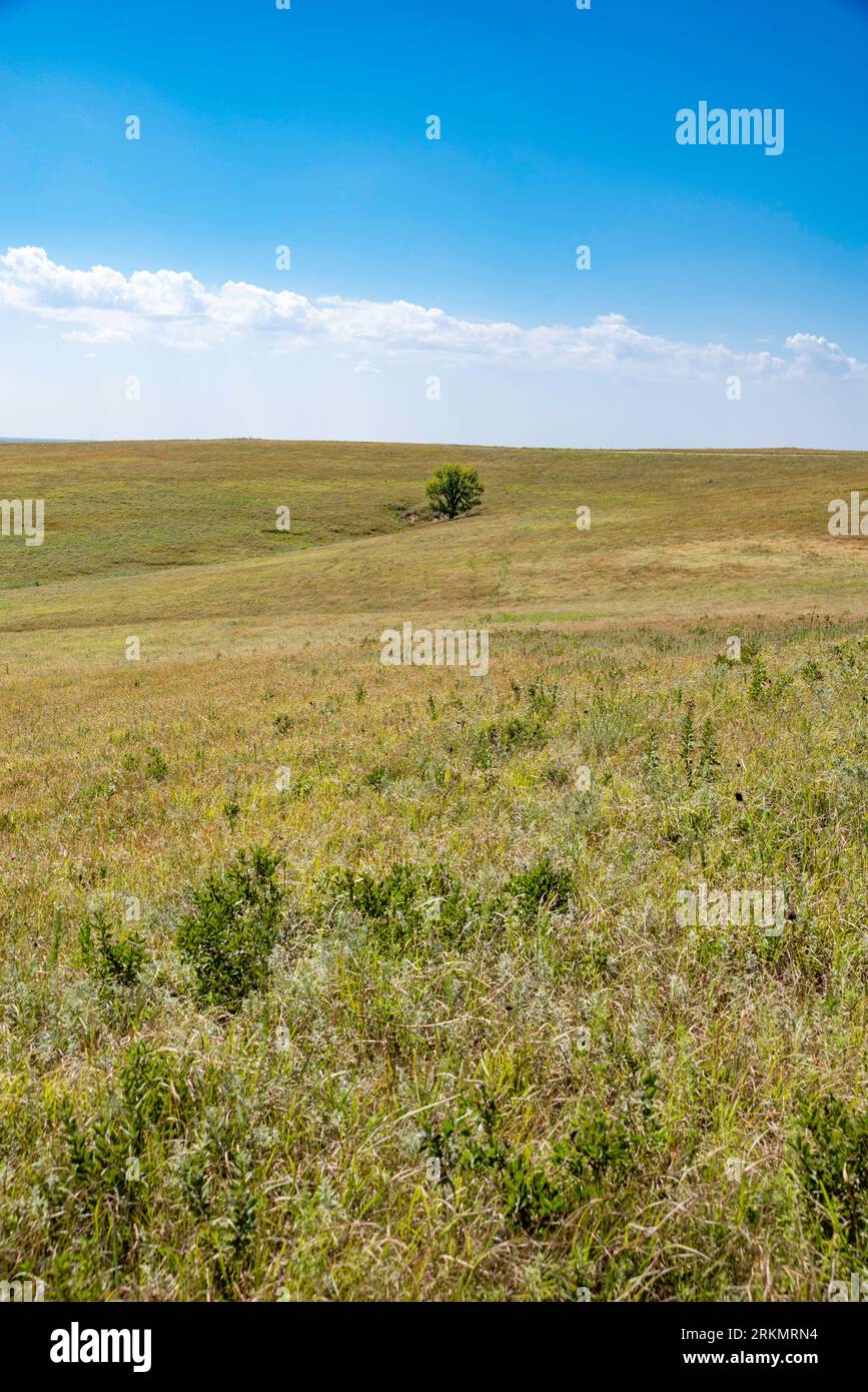 Prairie vista at Tallgrass Prairie National Preserve near Strong City