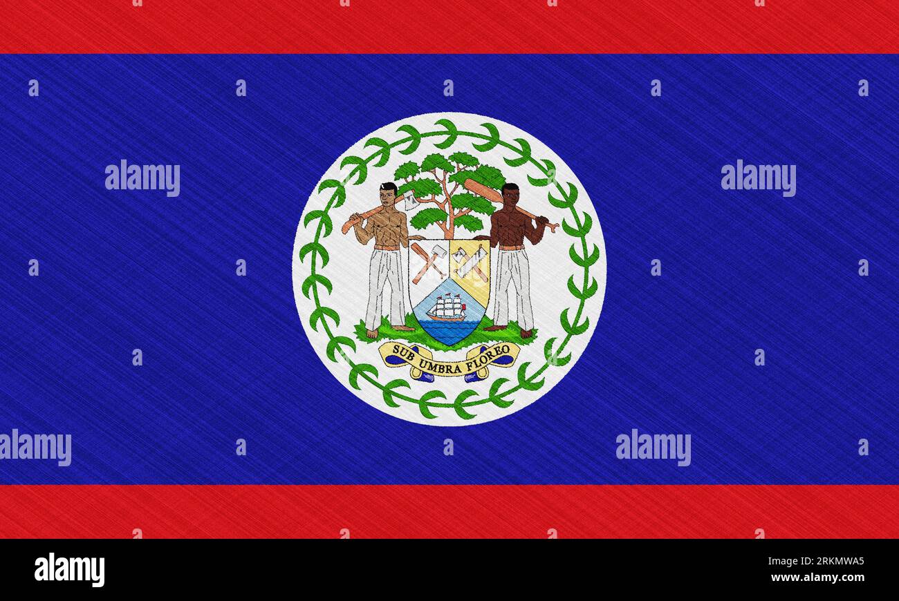 Flag and coat of arms of Belize on a textured background. Concept