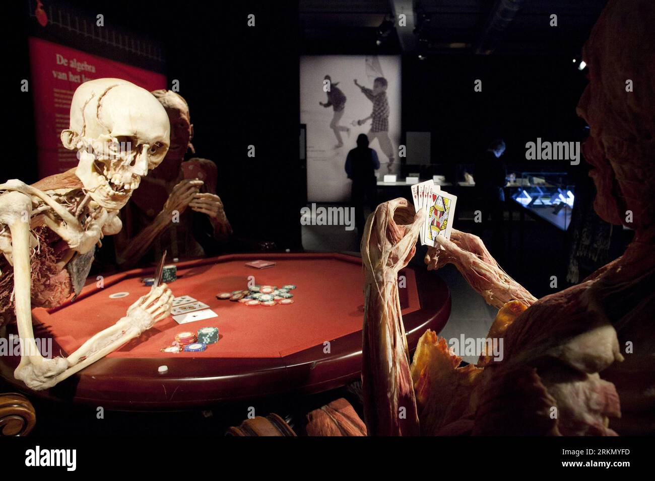 Bildnummer: 56874530  Datum: 12.01.2012  Copyright: imago/Xinhua (120112)-- AMSTERDAM, Jan. 12, 2012 (Xinhua) -- Visitors watch the bodies at the Body Worlds exhibition in Amsterdam, the Netherlands, on Jan. 12, 2012. The original anatomical exhibition, displaying authentic human bodies of donors, opened here Thuresday. (Xinhua/Rich Nederstigt) NETHERLANDS-AMSTERDAM-BODY SPECIMEN-EXHIBITON PUBLICATIONxNOTxINxCHN Kultur Ausstellung Plastination Körperwelten premiumd xns x0x 2012 quer      56874530 Date 12 01 2012 Copyright Imago XINHUA  Amsterdam Jan 12 2012 XINHUA Visitors Watch The Bodies AT Stock Photo