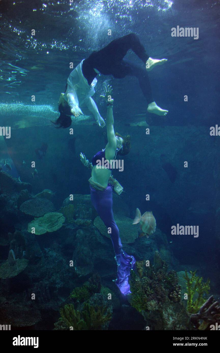 Bildnummer: 56975230  Datum: 27.01.2012  Copyright: imago/Xinhua (120127) -- ISTANBUL, Jan. 27, 2012 (Xinhua) -- Members of British Aquabatix group perform inside an aquarium during the Love story of the mermaid underwater theater show at Turkuazoo Aquarium center in Istanbul, Turkey, Jan. 27, 2012. The show will be presented till Jan. 29. (Xinhua/Ma Yan) TURKEY-ISTANBUL-UNDER WATER-PERFORMENCE PUBLICATIONxNOTxINxCHN Gesellschaft Entertainment Unterwasser Meerjungfrau Performance xda x0x 2012 hoch      56975230 Date 27 01 2012 Copyright Imago XINHUA  Istanbul Jan 27 2012 XINHUA Members of Brit Stock Photo
