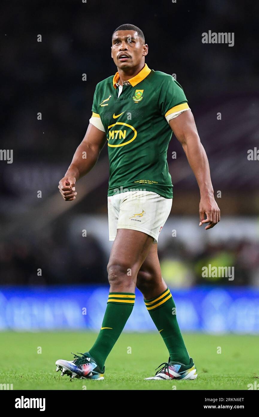 Damian Willemse of South Africa during the International match South